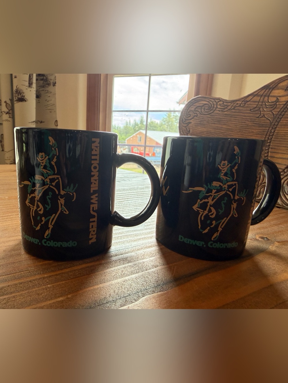Vintage National western stock show and rodeo mugs (2)